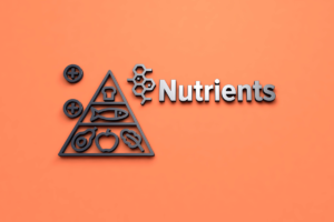 nutrient triangle with food sources