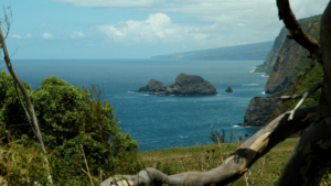 Rugged Coast of Hawi Hawaii Big Island